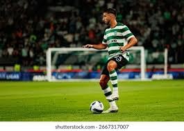 中华队教练团总结WBC经验