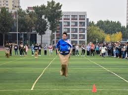 势不可挡，哈兰德已连续10场世预赛取得进球