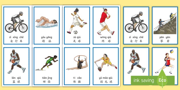 F1澳大利亚站：维斯塔潘杆位夺冠