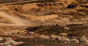 东契奇34+12+7里夫斯33分 湖人轻取鹈鹕收获七连胜